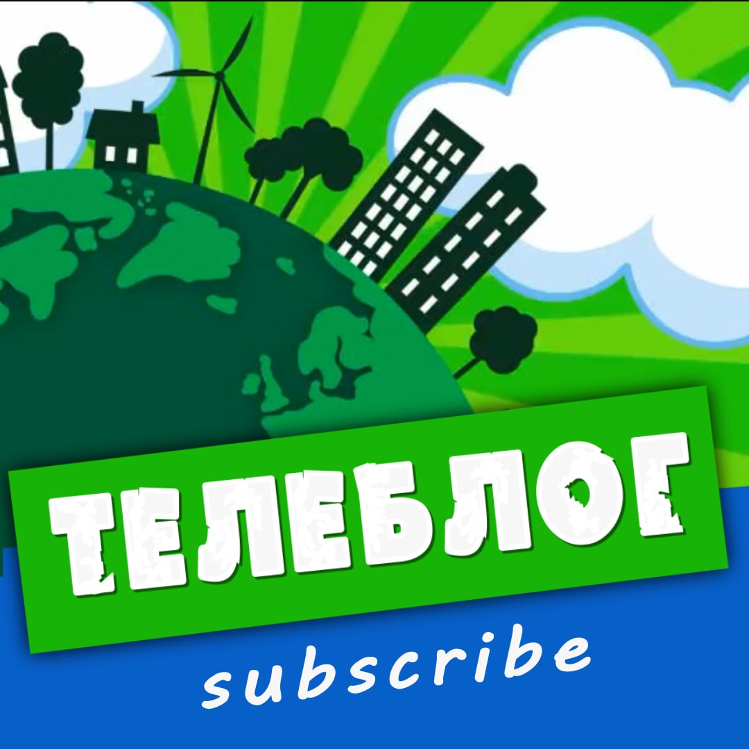 Телеблог Королев Мытищи Раменское Люберцы